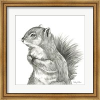 Watercolor Pencil Forest IV-Squirrel Fine Art Print
