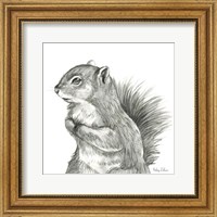 Watercolor Pencil Forest IV-Squirrel Fine Art Print