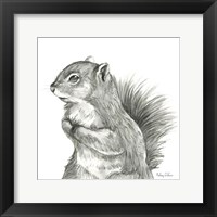 Watercolor Pencil Forest IV-Squirrel Fine Art Print