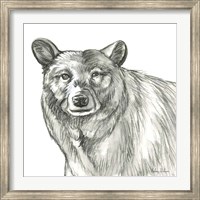 Watercolor Pencil Forest V-Bear Fine Art Print