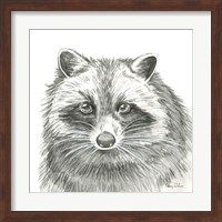 Watercolor Pencil Forest VI-Raccoon Fine Art Print