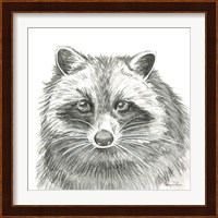 Watercolor Pencil Forest VI-Raccoon Fine Art Print