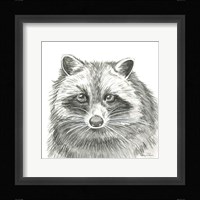 Watercolor Pencil Forest VI-Raccoon Framed Print