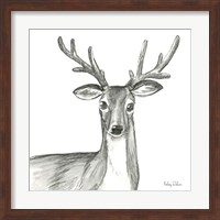Watercolor Pencil Forest VIII-Deer Fine Art Print