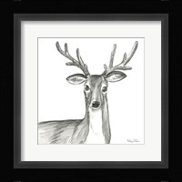 Watercolor Pencil Forest VIII-Deer Framed Print