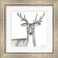 Watercolor Pencil Forest VIII-Deer Fine Art Print