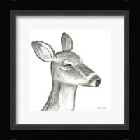 Watercolor Pencil Forest IX-Fawn Framed Print