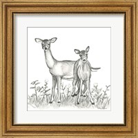 Watercolor Pencil Forest X-Deer Family Fine Art Print