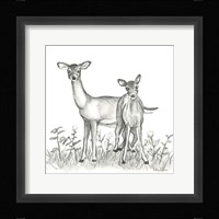Watercolor Pencil Forest X-Deer Family Framed Print
