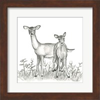 Watercolor Pencil Forest X-Deer Family Fine Art Print