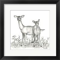 Watercolor Pencil Forest X-Deer Family Fine Art Print