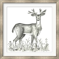 Watercolor Pencil Forest XI-Deer 2 Fine Art Print