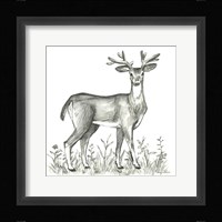 Watercolor Pencil Forest XI-Deer 2 Framed Print