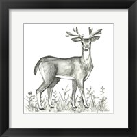 Watercolor Pencil Forest XI-Deer 2 Framed Print