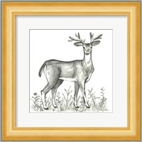 Watercolor Pencil Forest XI-Deer 2 Fine Art Print