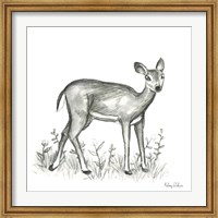 Watercolor Pencil Forest XII-Fawn 2 Fine Art Print