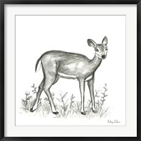 Watercolor Pencil Forest XII-Fawn 2 Fine Art Print