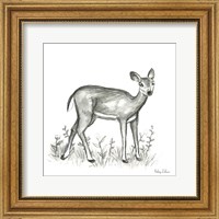 Watercolor Pencil Forest XII-Fawn 2 Fine Art Print