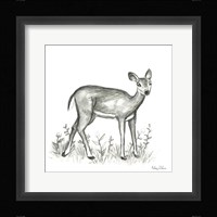Watercolor Pencil Forest XII-Fawn 2 Framed Print
