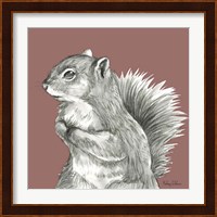 Watercolor Pencil Forest color IV-Squirrel Fine Art Print