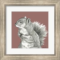 Watercolor Pencil Forest color IV-Squirrel Fine Art Print