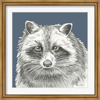 Watercolor Pencil Forest color VI-Raccoon Fine Art Print