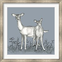 Watercolor Pencil Forest color X-Deer Family Fine Art Print