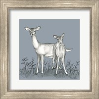 Watercolor Pencil Forest color X-Deer Family Fine Art Print