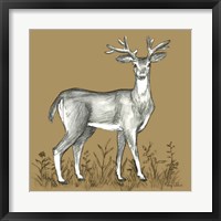 Watercolor Pencil Forest color XI-Deer 2 Fine Art Print