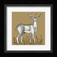 Watercolor Pencil Forest color XI-Deer 2 Framed Print