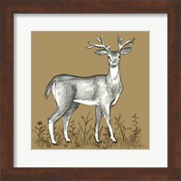 Watercolor Pencil Forest color XI-Deer 2 Fine Art Print