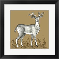 Watercolor Pencil Forest color XI-Deer 2 Framed Print