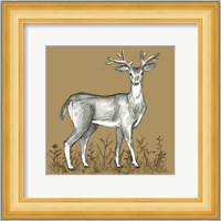 Watercolor Pencil Forest color XI-Deer 2 Fine Art Print