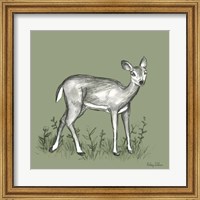 Watercolor Pencil Forest color XII-Fawn 2 Fine Art Print
