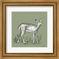 Watercolor Pencil Forest color XII-Fawn 2 Fine Art Print