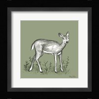 Watercolor Pencil Forest color XII-Fawn 2 Framed Print