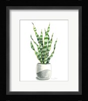 Potted Exotics I Framed Print