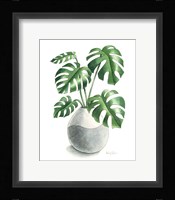 Potted Exotics II Framed Print
