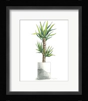 Potted Exotics III Framed Print
