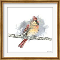 Birds & Branches II-Female Cardinal Fine Art Print