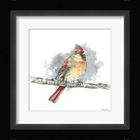 Birds & Branches II-Female Cardinal Framed Print