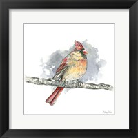 Birds & Branches II-Female Cardinal Framed Print