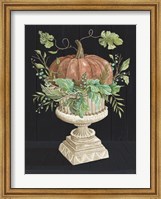 Pumpkin on Display Fine Art Print