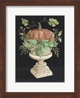 Pumpkin on Display Fine Art Print