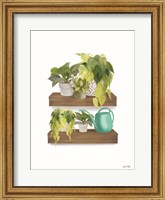 Plant Lover Shelves Fine Art Print
