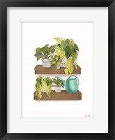 Plant Lover Shelves Fine Art Print