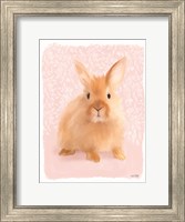 Spring Bunny Fine Art Print
