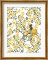 Yellow Spring Finch Fine Art Print