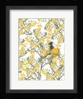 Yellow Spring Finch Fine Art Print