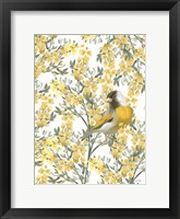 Yellow Spring Finch Fine Art Print